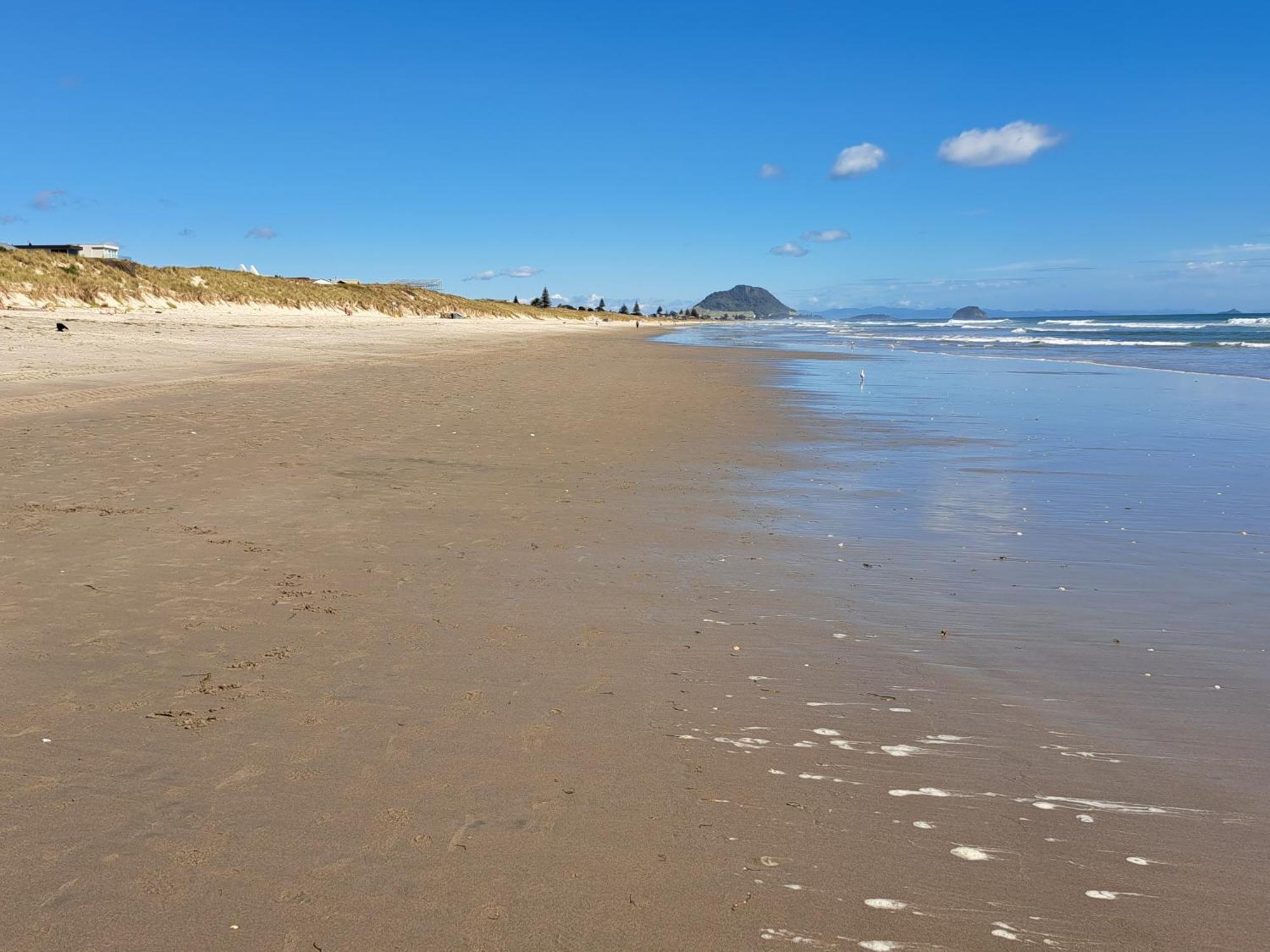 Sunbrae Beach Sands Y Mount Maunganui Dış mekan fotoğraf